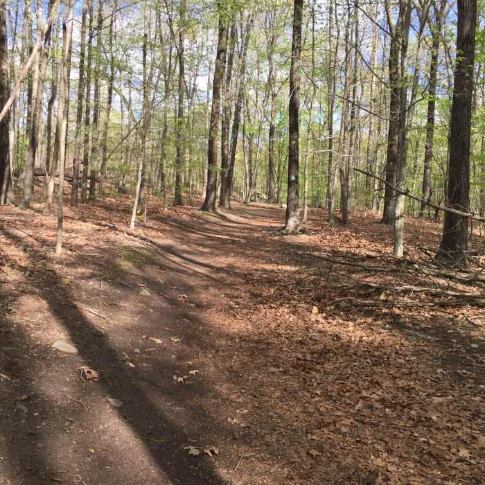 Near Nike Overlook Park