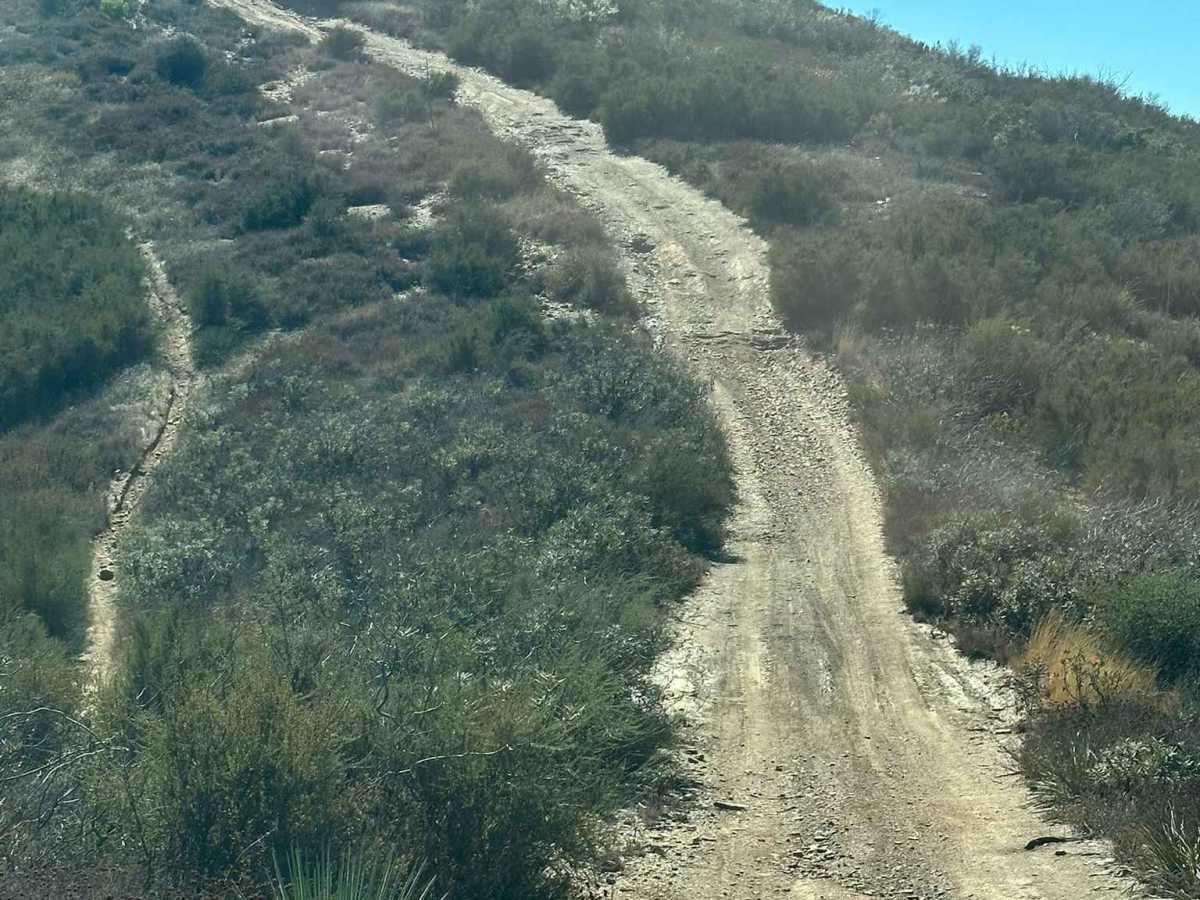Deer Trail photo 6
