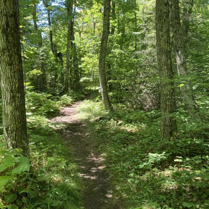 Near Lynd Point Trail Near Lynd Point Trail