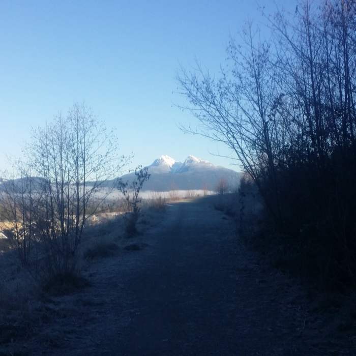 Near Maple Ridge Trail Run