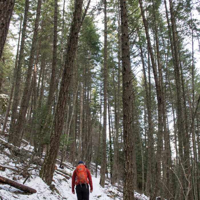 Near Gold Hill Trail #3