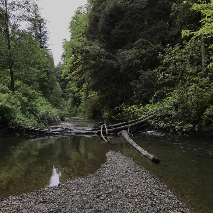 Near Mill Creek Trail