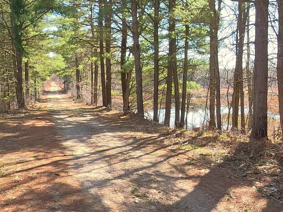 FS 4801 trail photo