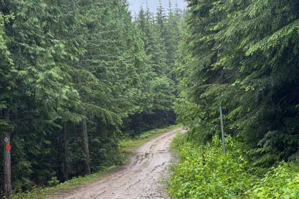 Media Creek - FS 1347