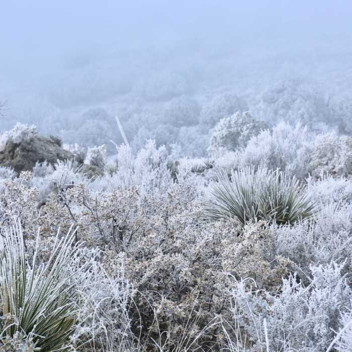 Near Devil's Hall Trail