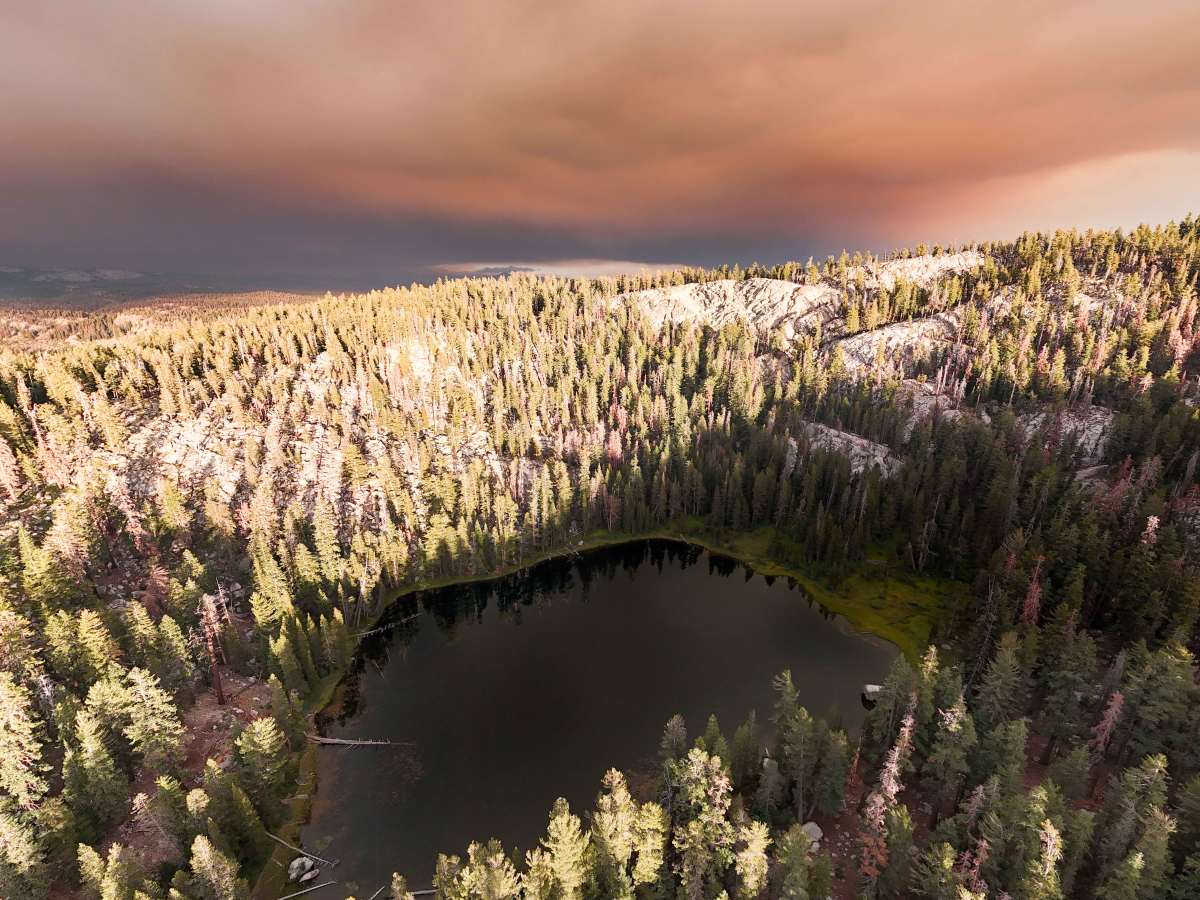 Strawberry Lake - FS 26E214 trail photo