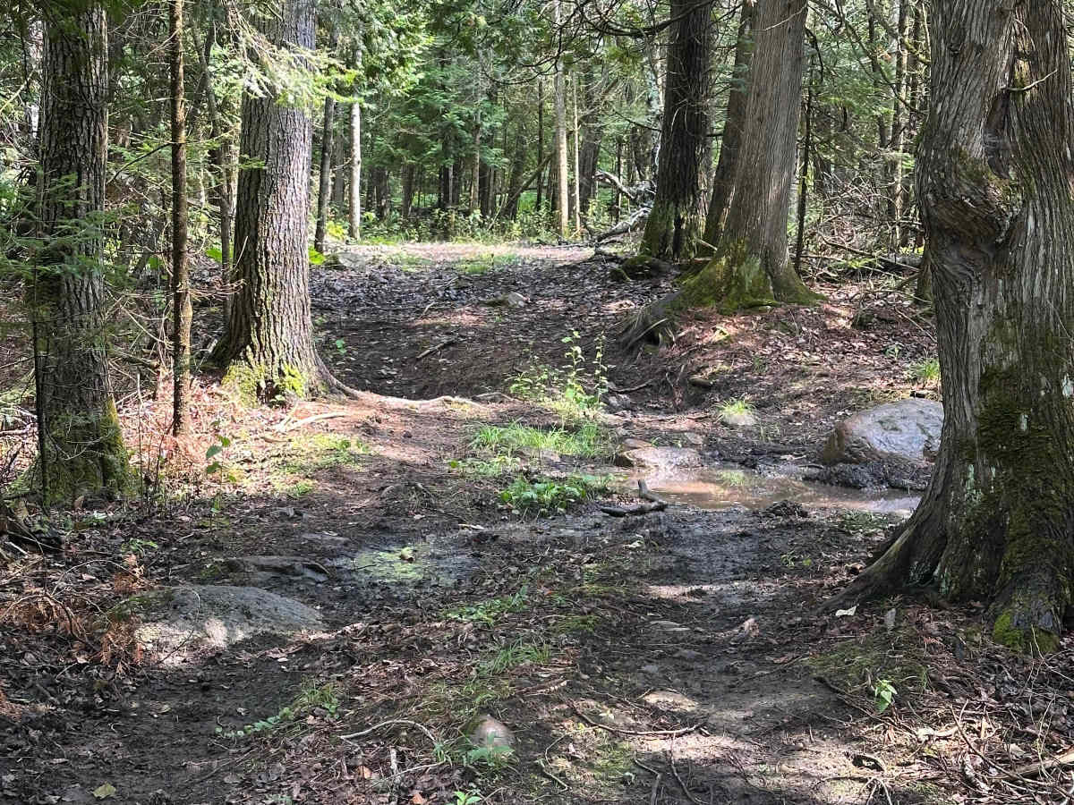 Deer Stand trail photo