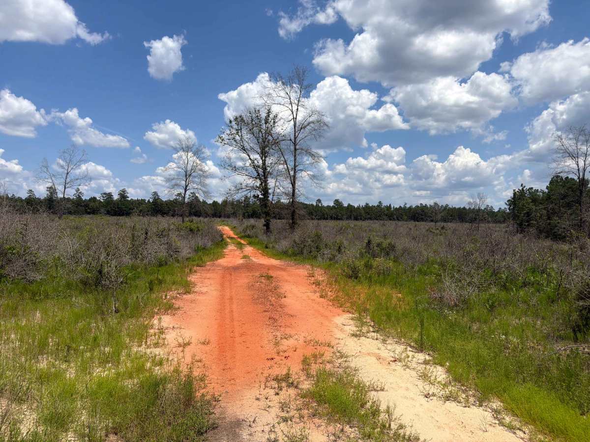 Prairie Trail trail photo