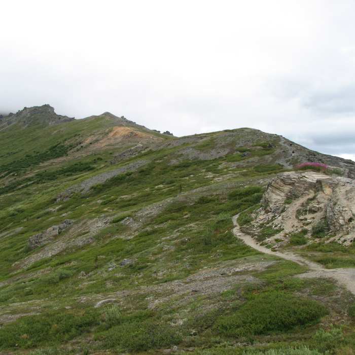 Denali: Mt Healy. Near Mt. Healy Out and Back