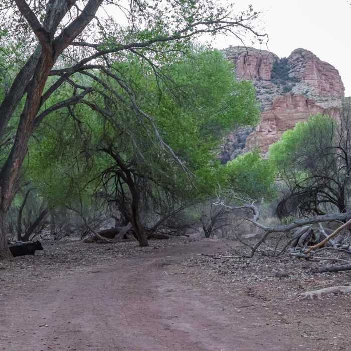 Near Lower Eagle Creek Hot Springs