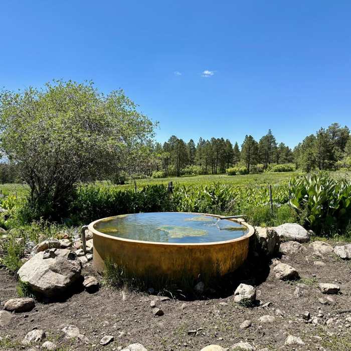 Near CDT: New Mexico Section 28