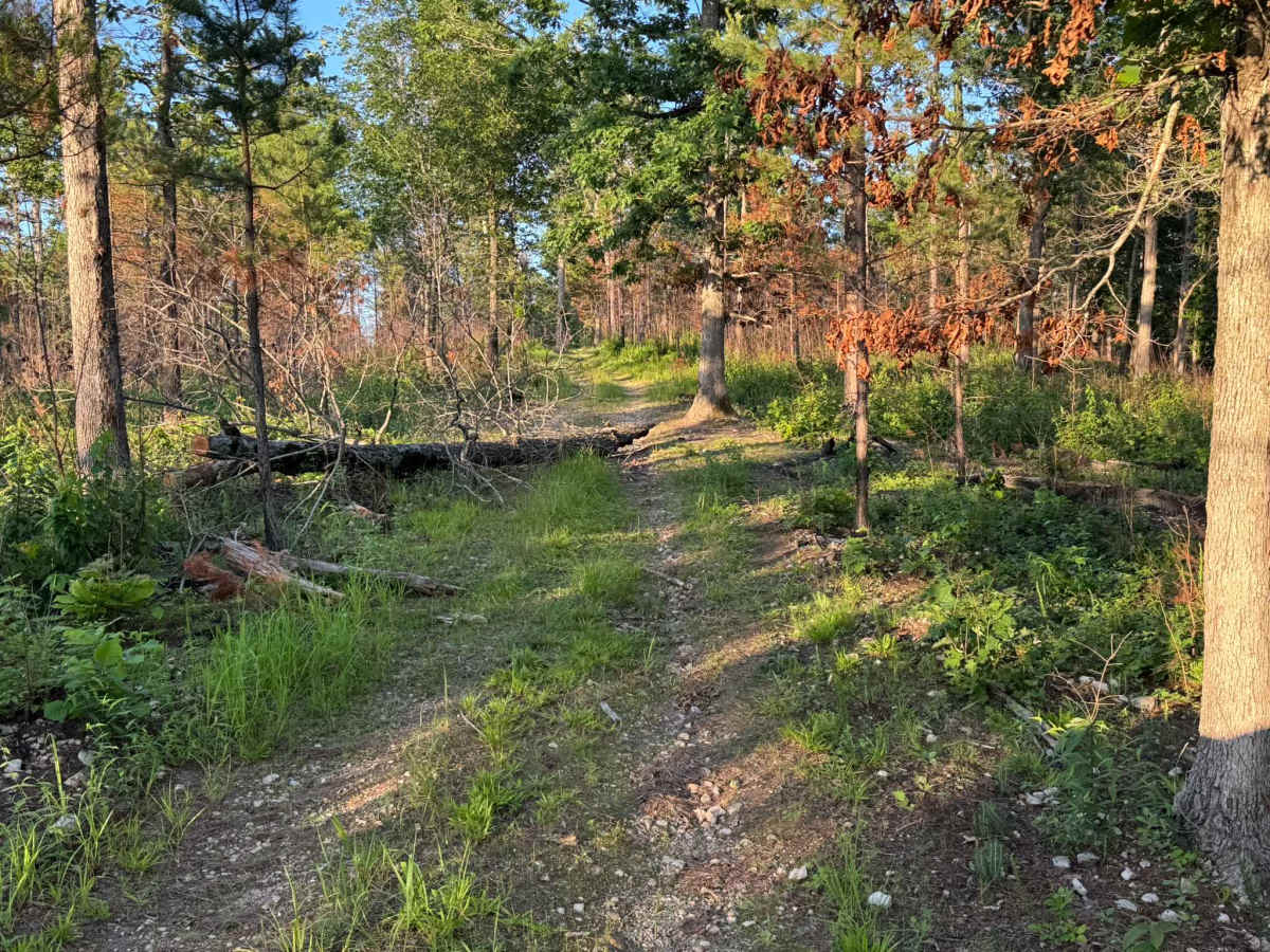 91080C trail photo