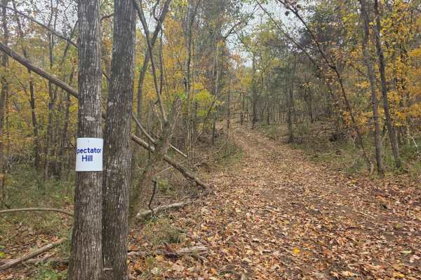Spectator Hill #1