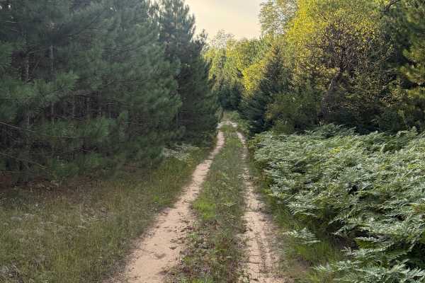 8-3 Powerline Trail
