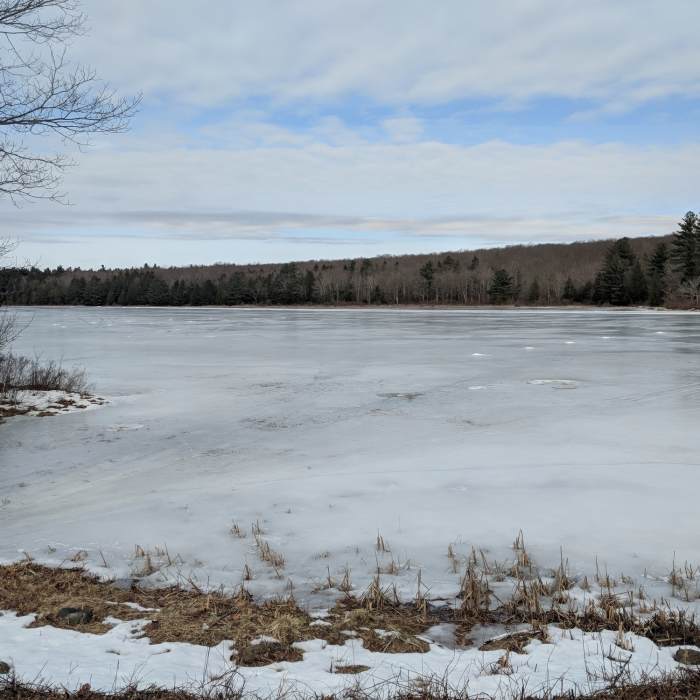 York Lake in winter Near York Lake Loop Trail