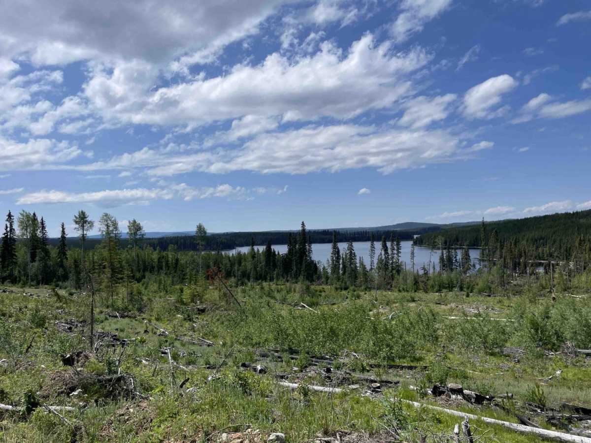 Around Aberdeen on Curtis Lake FSR photo 3