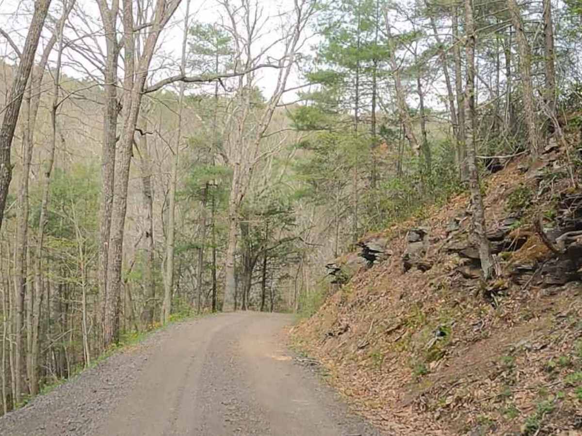 Cove Creek Road photo 5