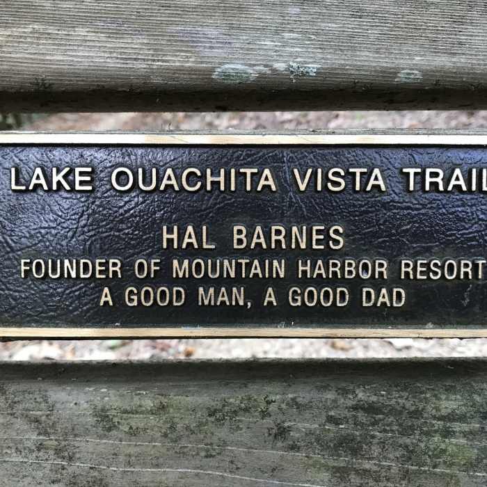 Hal Barnes Bench Near LOViT: Ode to Bench