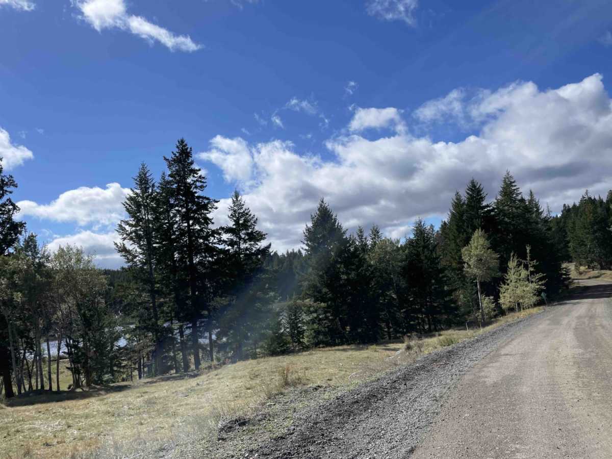 Loon Lake Rd trail photo