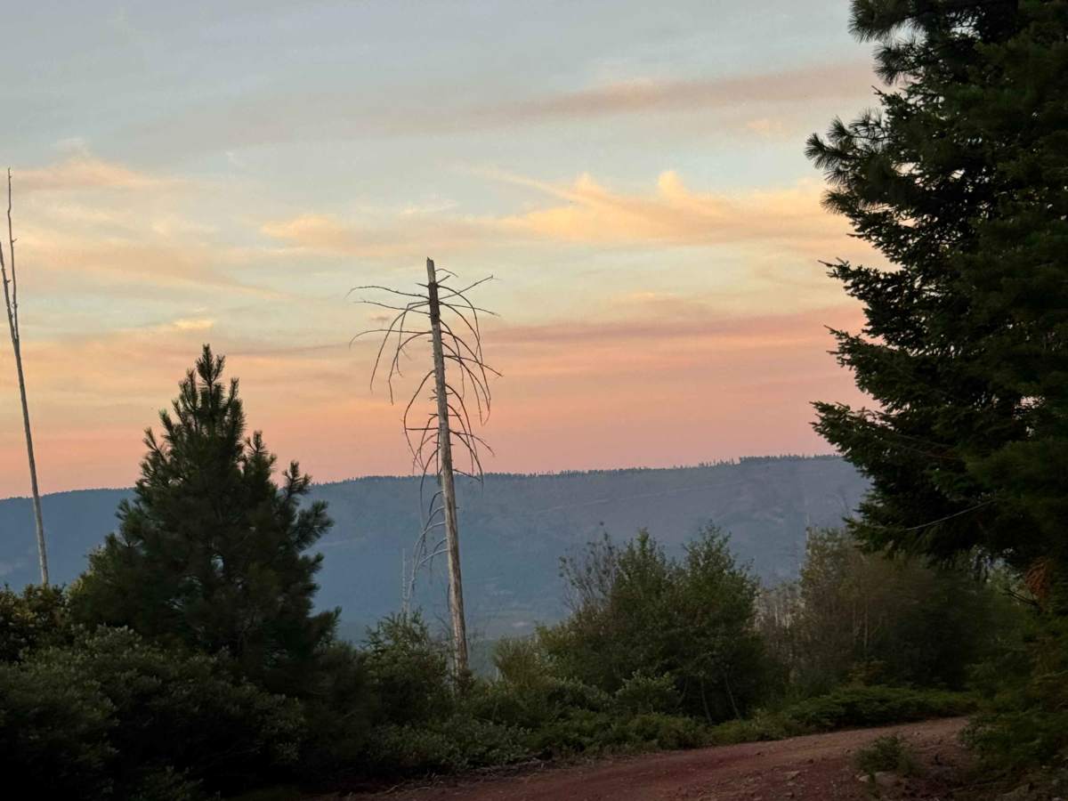 Cabot Lake Trail photo 4