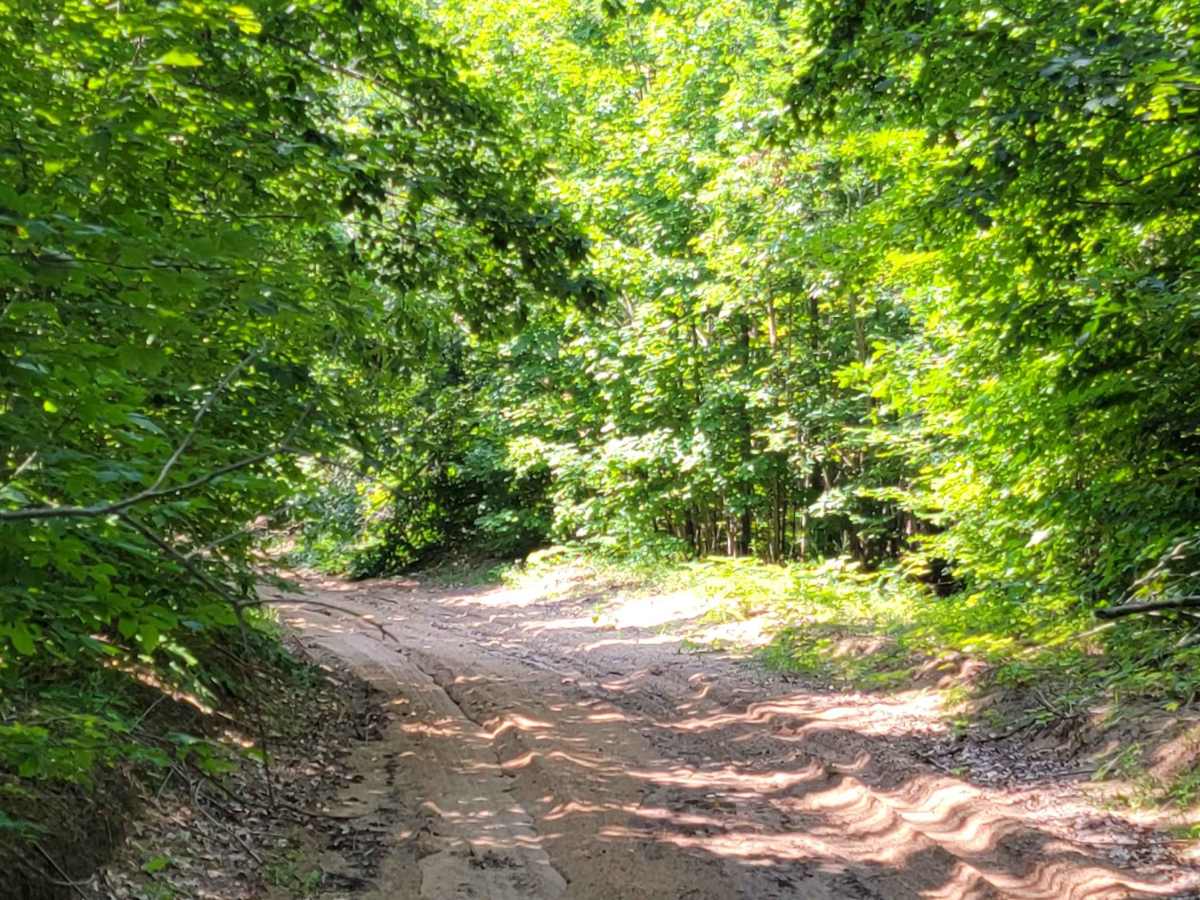 King Road Ride photo 2