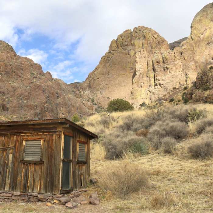 Near Dripping Springs Trail Near Dripping Springs Trail