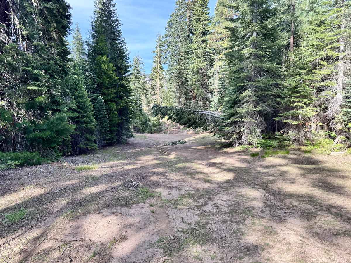 West Ruffa - FS 27N93 photo 4