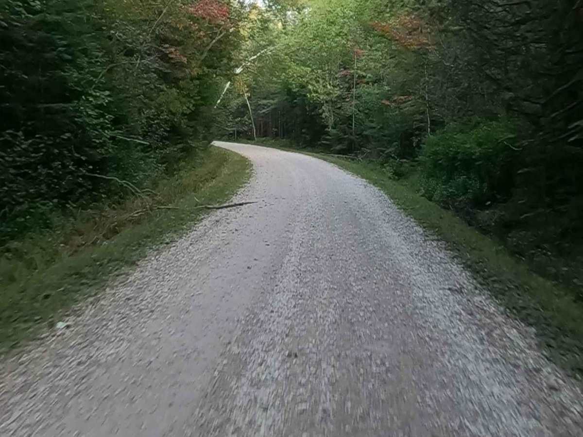 Red Creek Road - FS 3118   photo 3