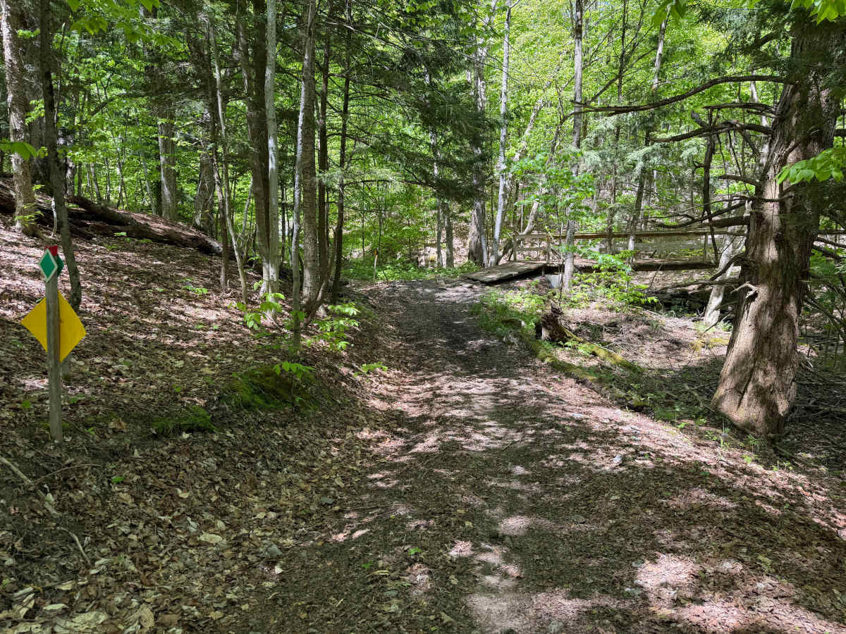 Grower Green Trail East - 3 trail photo