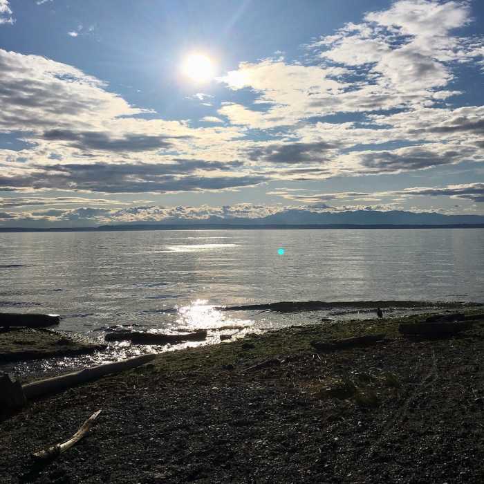 View from one of the Puget Sound beaches, with a great view of the Olympics. Near Meadowdale Beach Trail