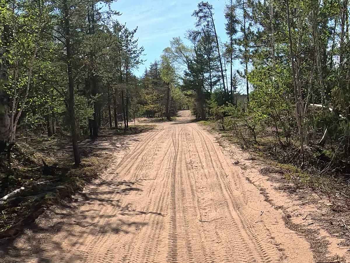 North Andrus Lake Road photo 4