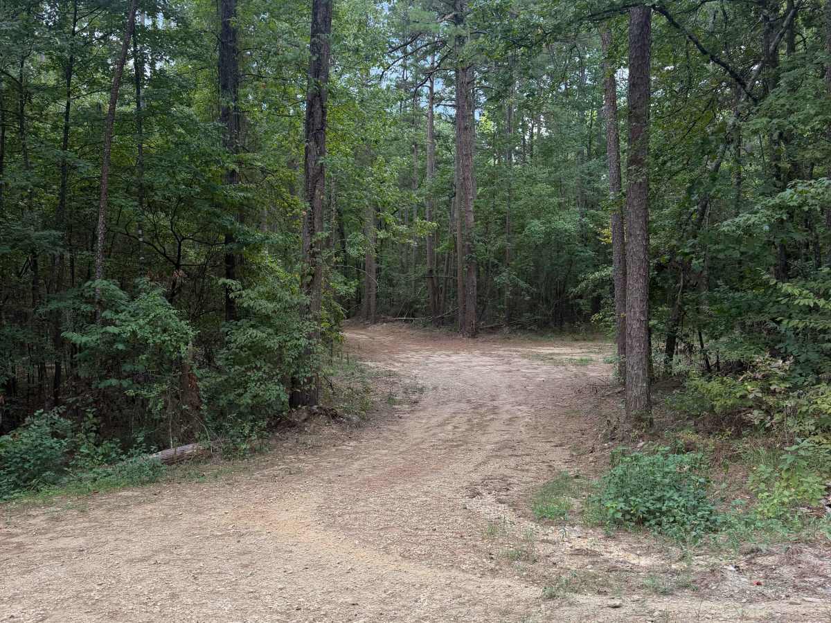 Boyette photo 3