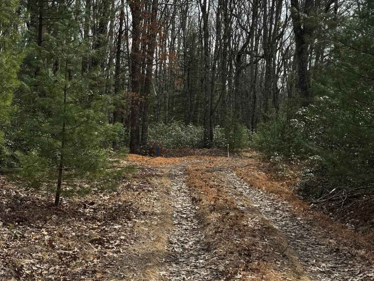 Dutlinger Trail photo 6