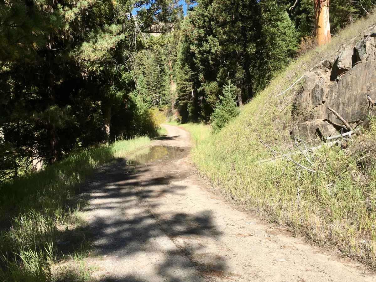 Overwhich Road - FS 5703 photo 4