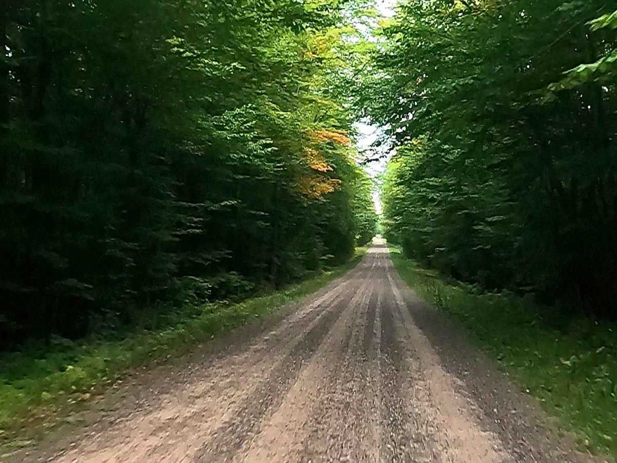 Rexford Road - FS 3157 photo 5