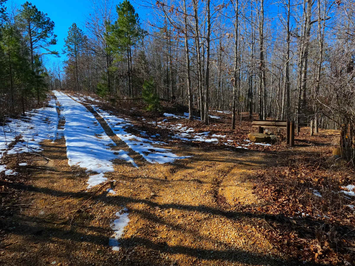 Buzzard Ridge - FS 2677 photo 5