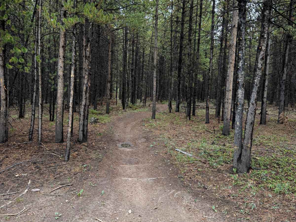 Snyder Creek Loop photo 6