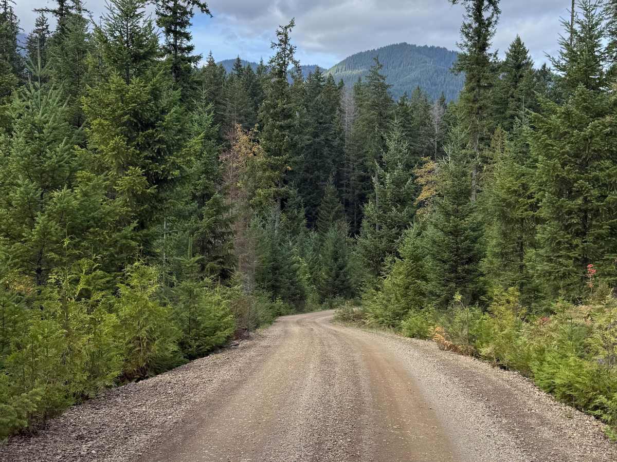 DRN Road 1240 photo 3