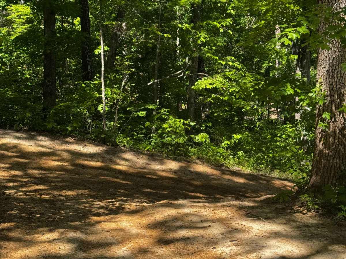 Inner Track 28 trail photo