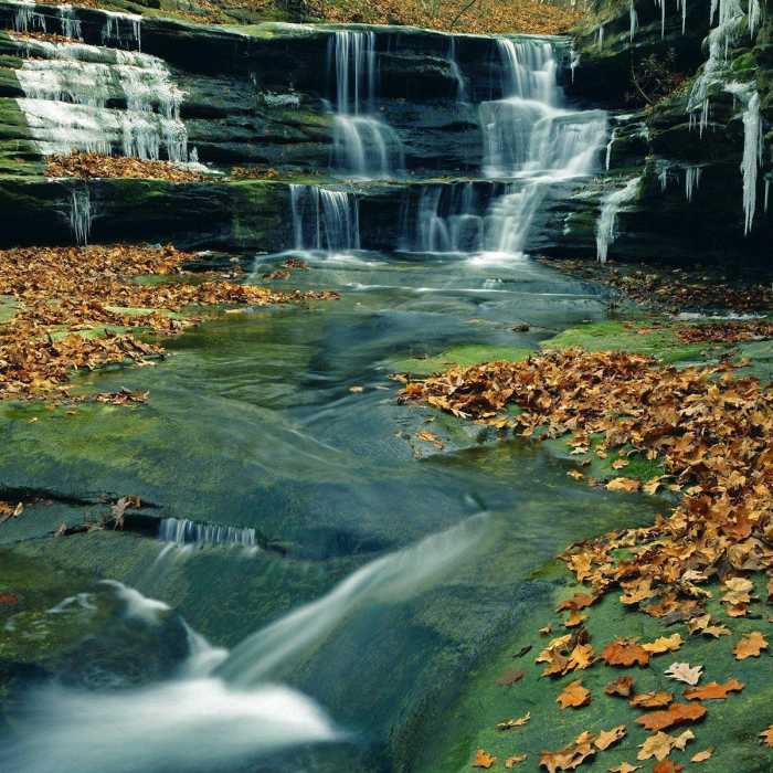 Near Starved Rock Loop