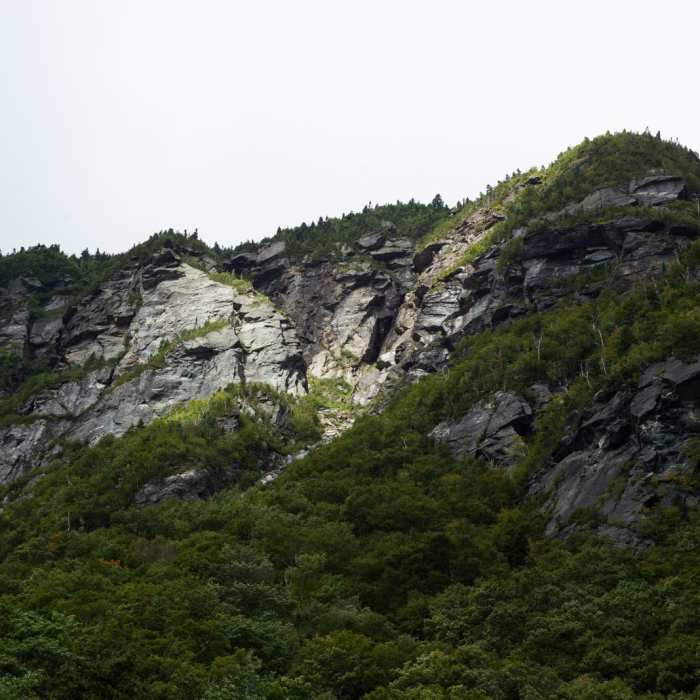 Near Sterling Pond Near Sterling Pond