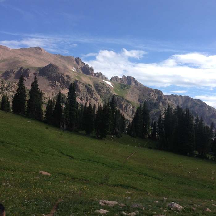 View looking North towards Red Mountains Ridge de Gnar Near Gore Creek Trail