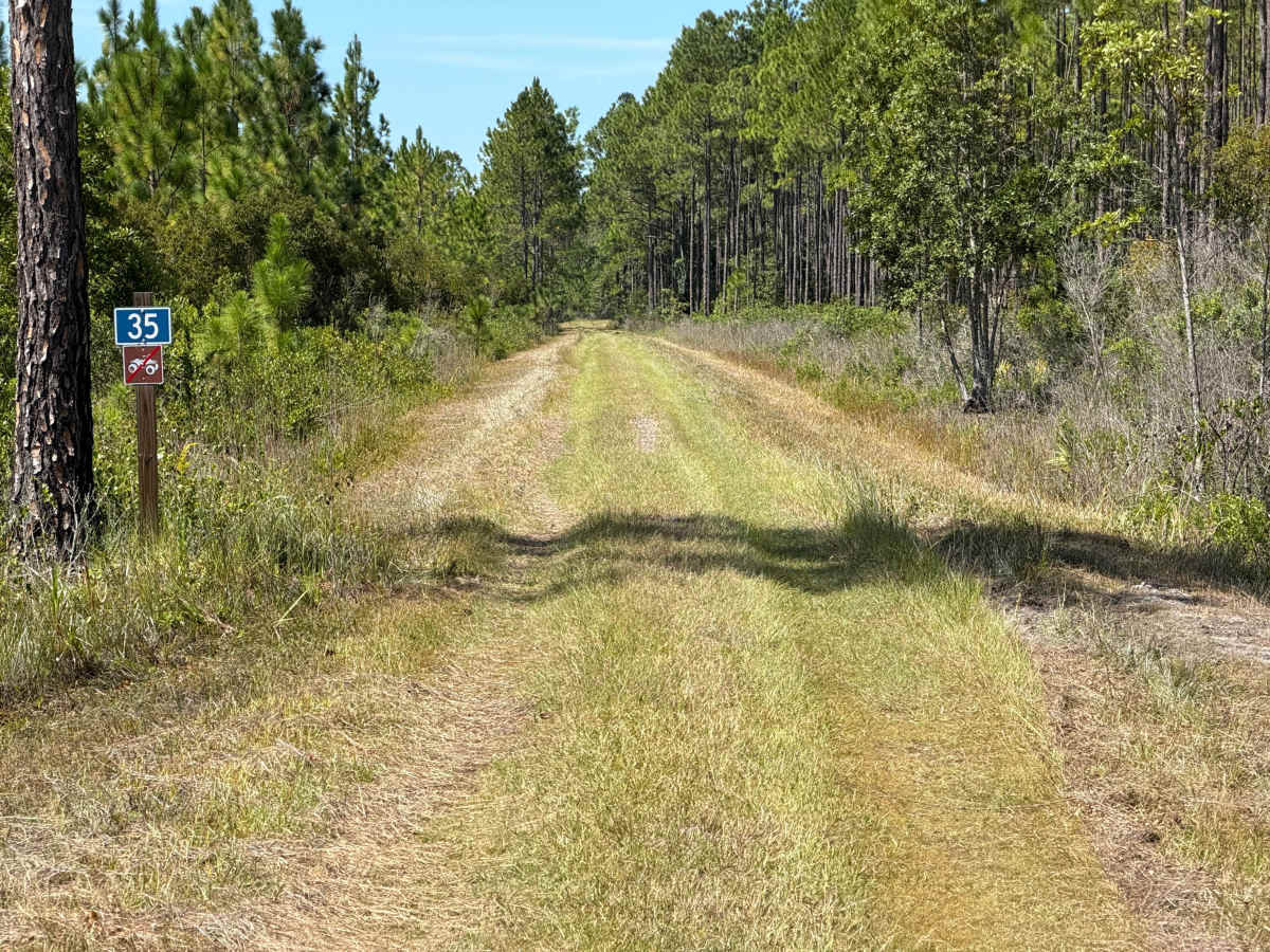 FR 35 trail photo