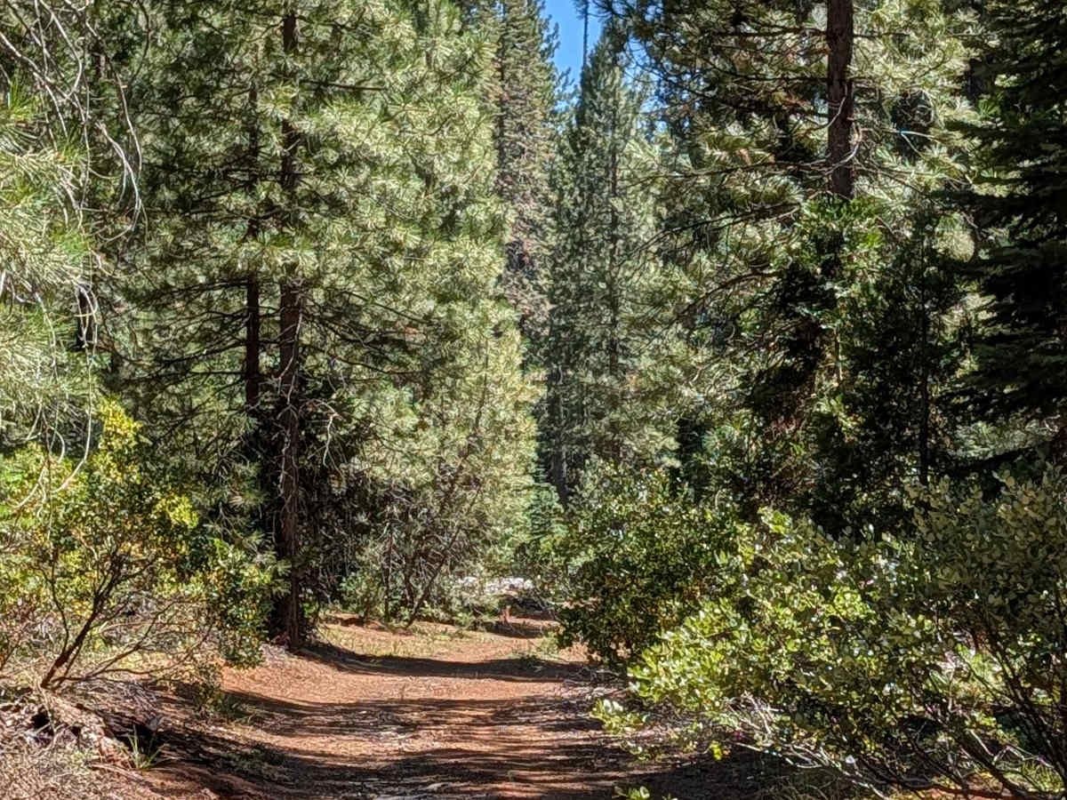 Horseshoe - FS 39N54 trail photo