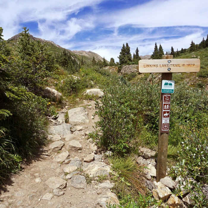 Near Linkins Lake Trail