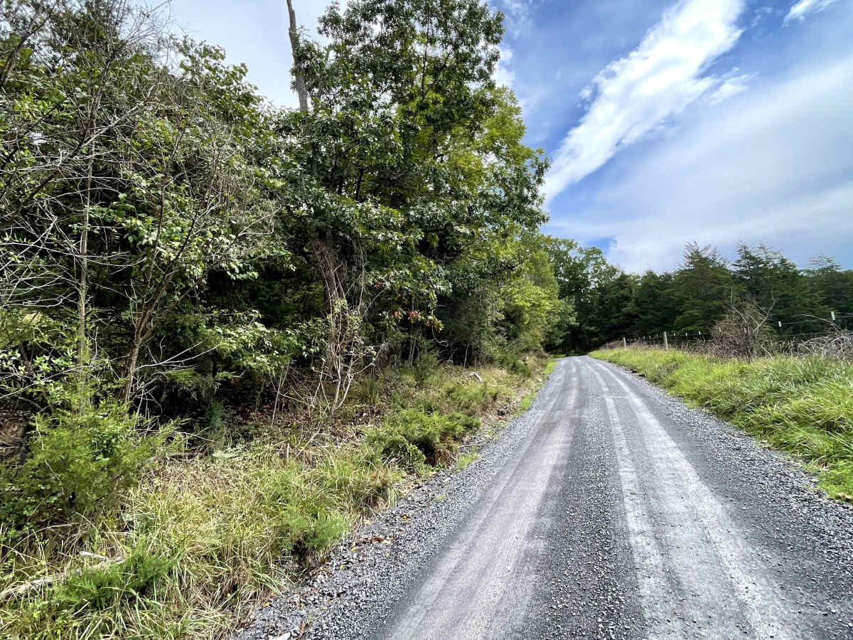Fredericksburg Road photo 2