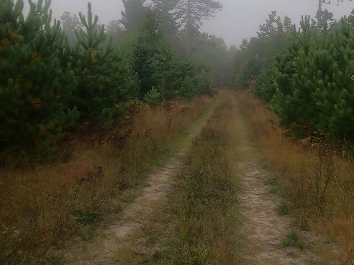 Epoufette (ORV Route A) photo 5