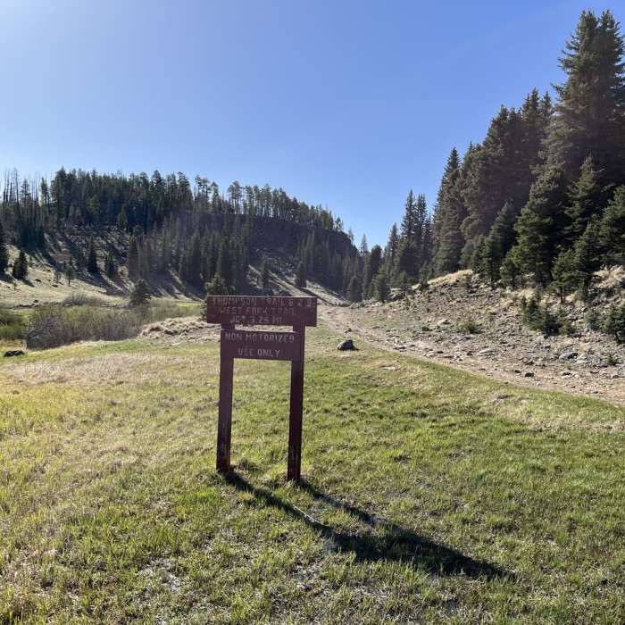 Near Thompson Trail 629