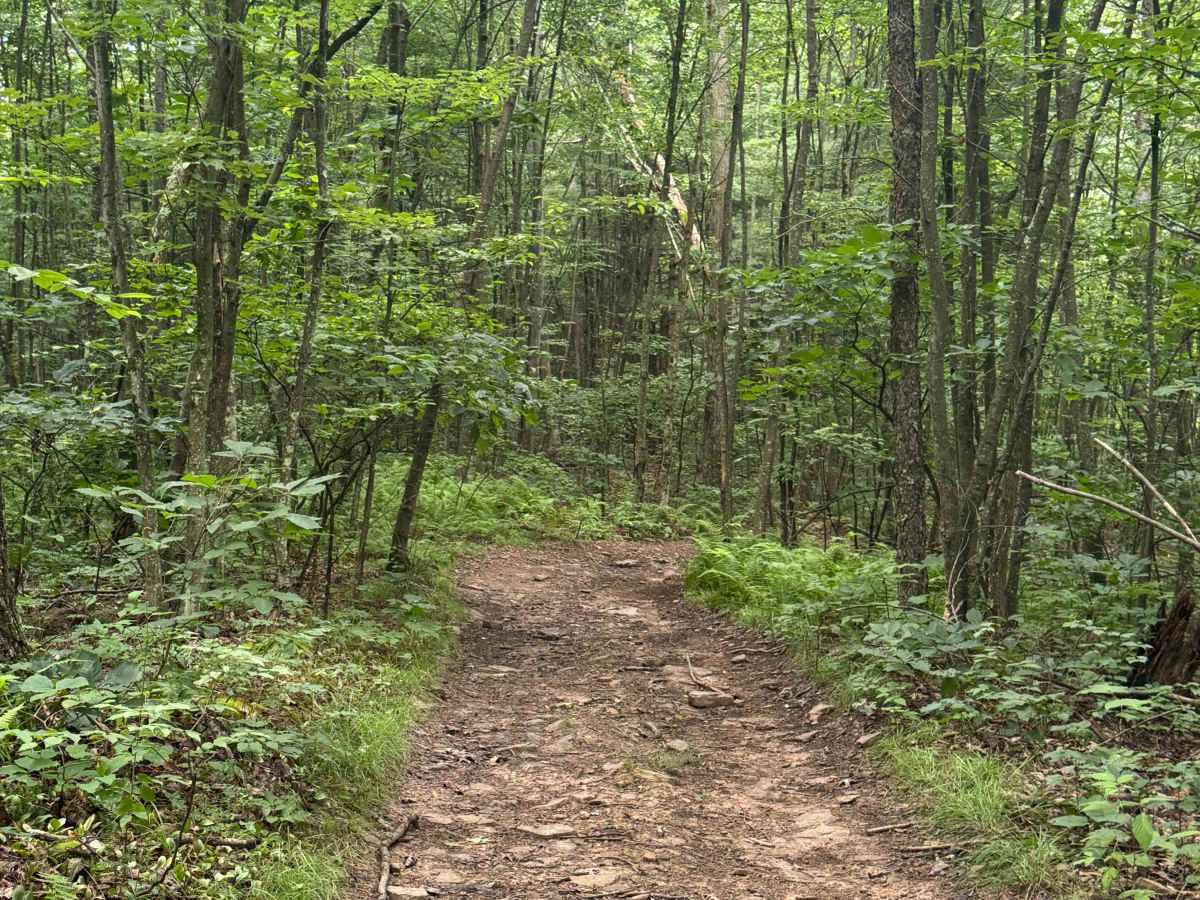 Trail 63 photo 4