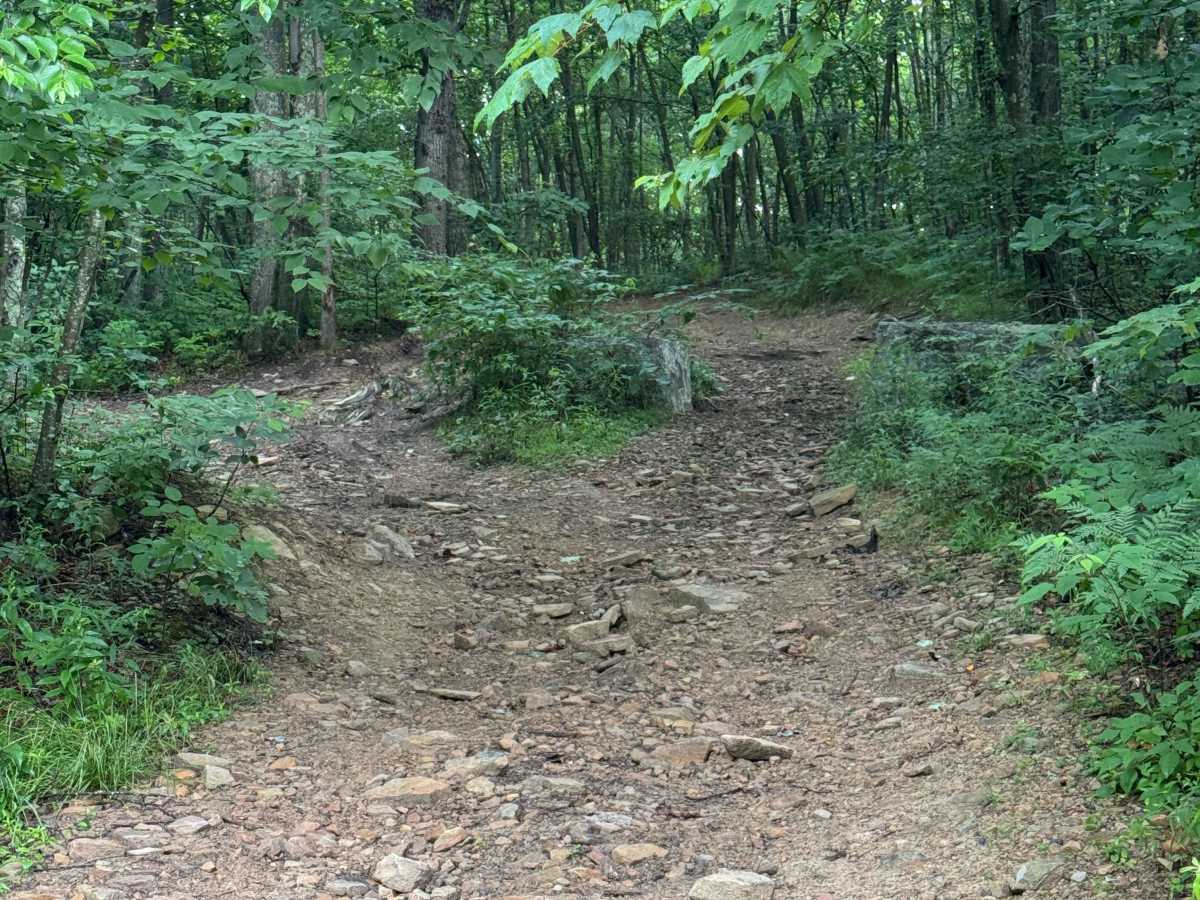 Trail 46 photo 2